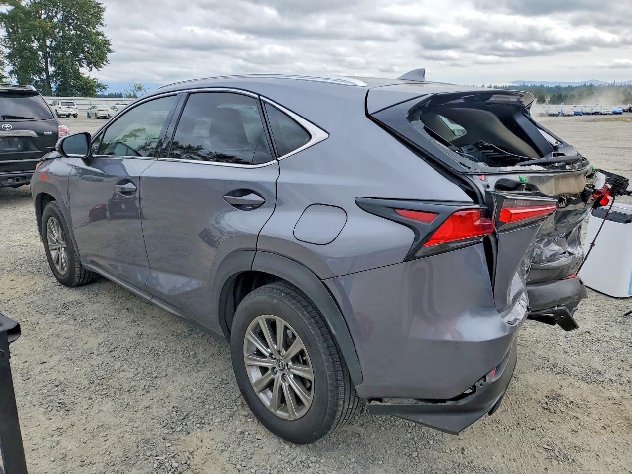 JTJYARBZ9J2101900 · 2018 LEXUS NX 300 · 2/13