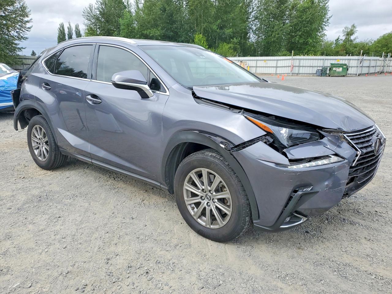 JTJYARBZ9J2101900 · 2018 LEXUS NX 300 · 4/13