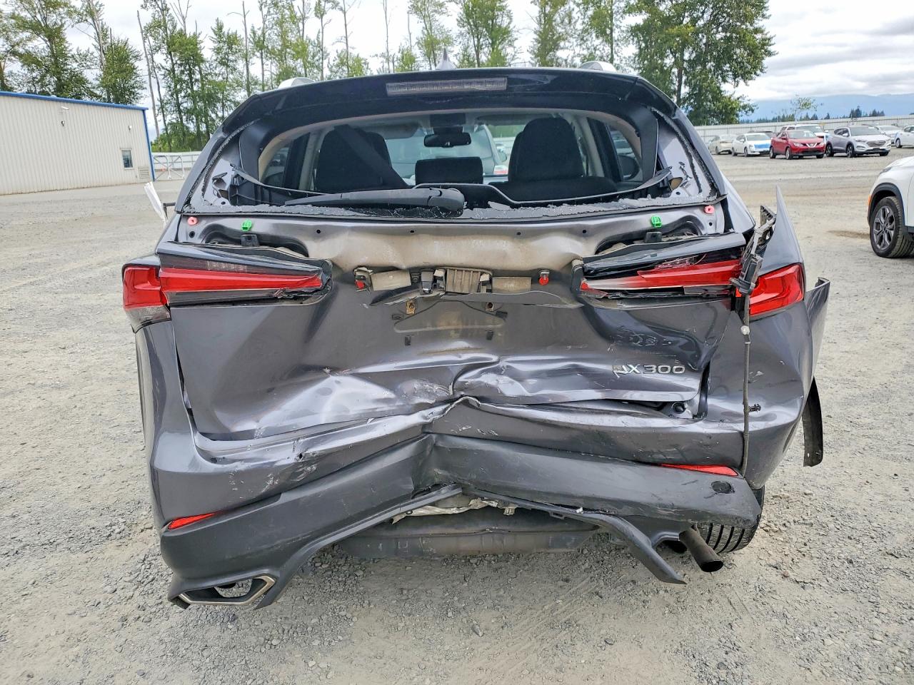 JTJYARBZ9J2101900 · 2018 LEXUS NX 300 · 6/13