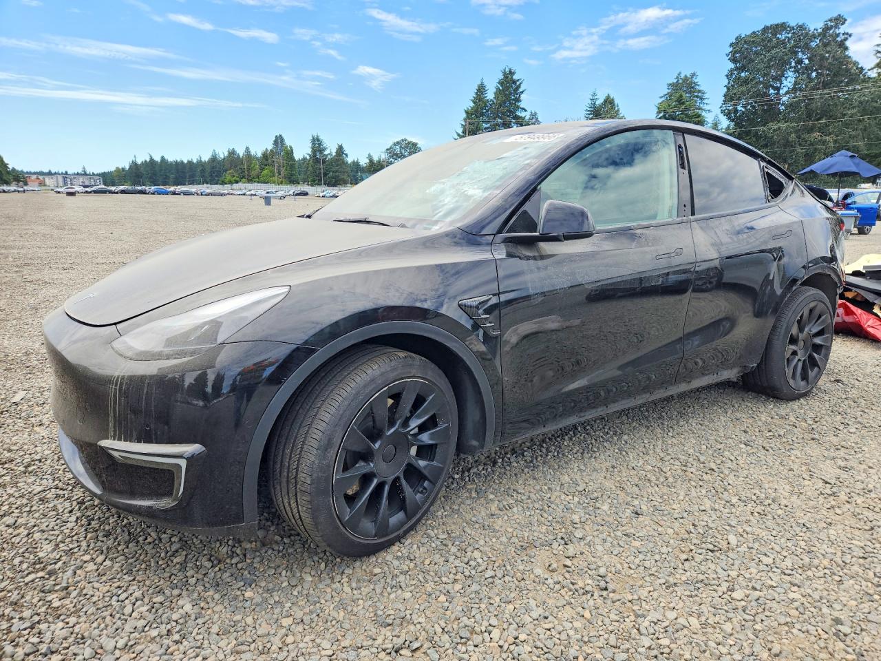 5YJYGDEE5MF160375 · 2021 TESLA MODEL Y