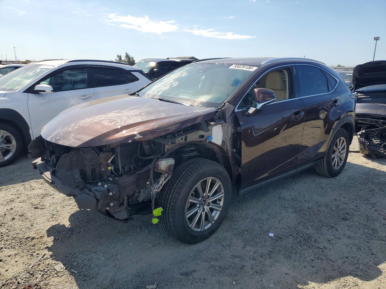 JTJYARBZ8K2145288 · 2019 LEXUS NX 300