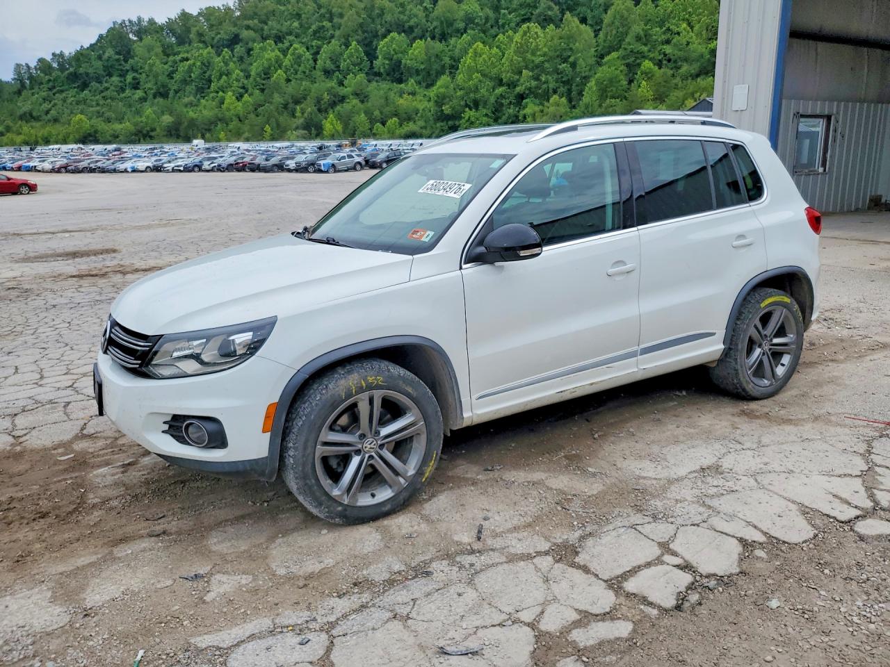 WVGUV7AXXHK039438 · 2017 VOLKSWAGEN TIGUAN