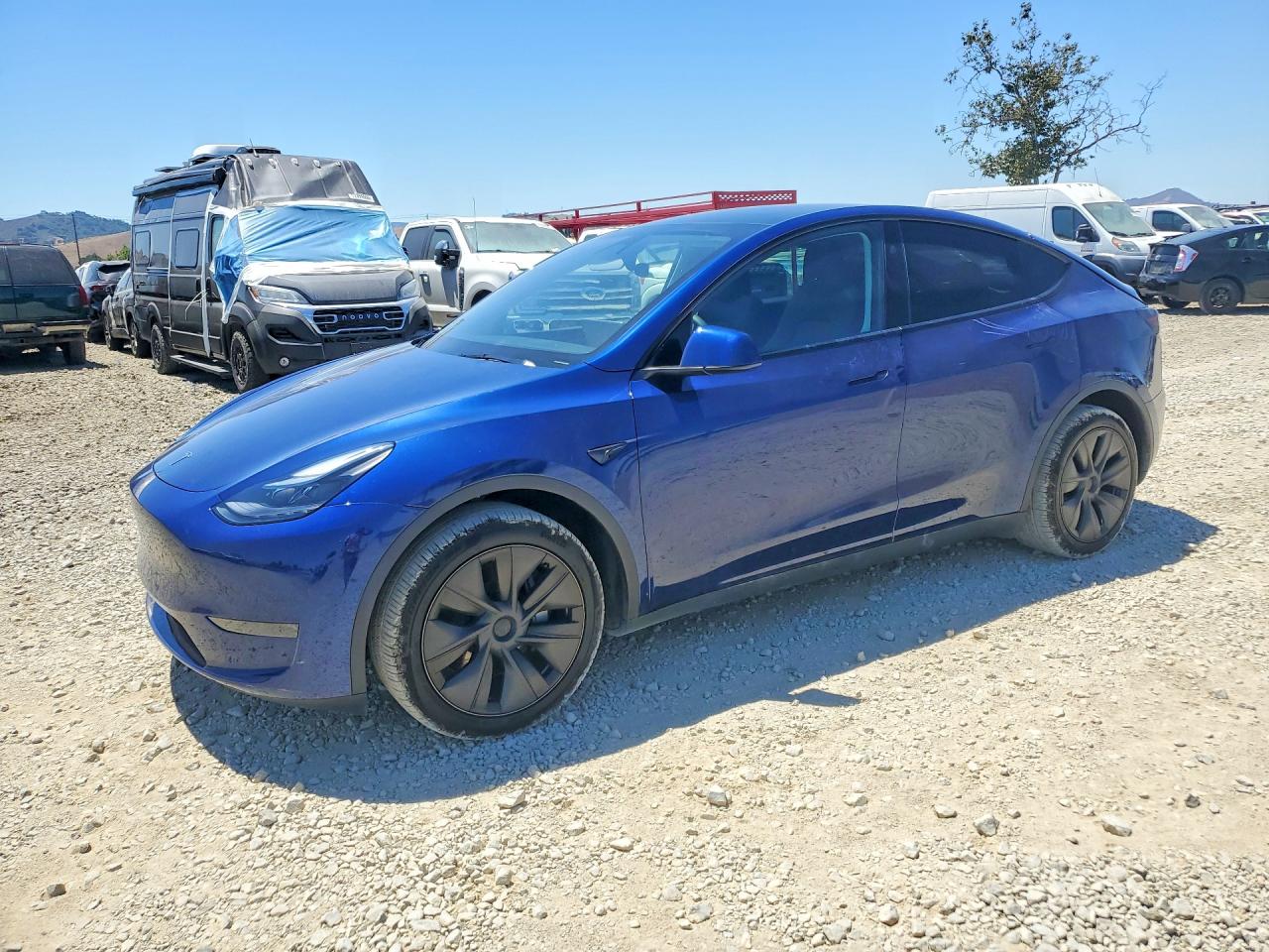 2025 TESLA MODEL Y
