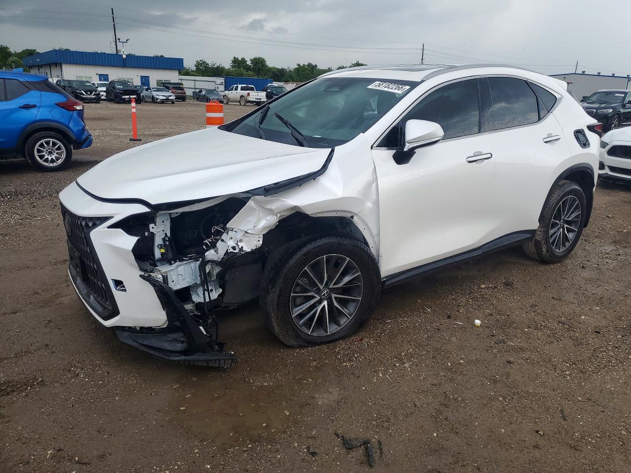 2T2GDCAZ4RC014130 · 2024 LEXUS NX