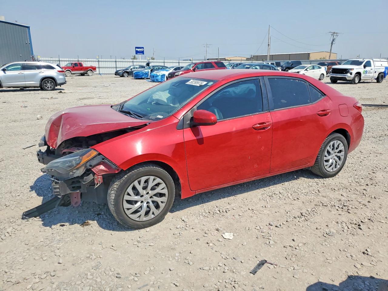 2019 TOYOTA COROLLA