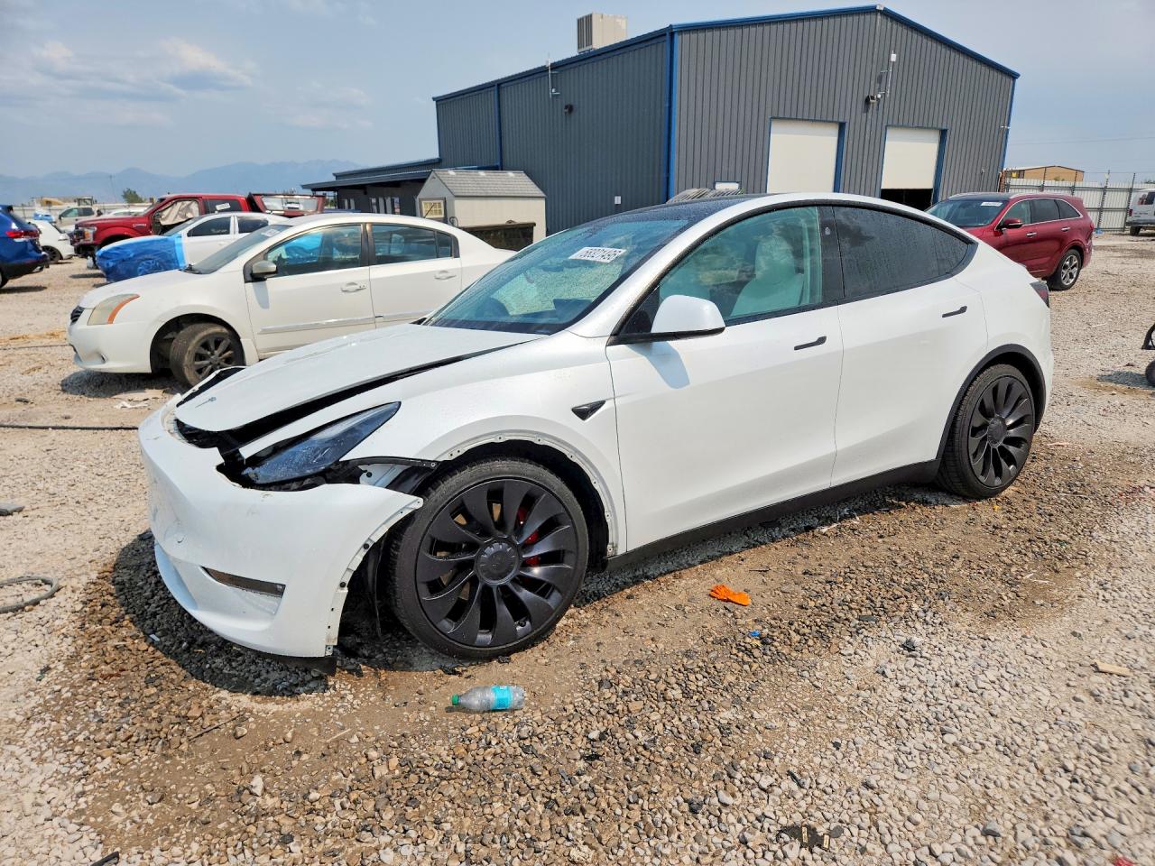 2023 TESLA MODEL Y