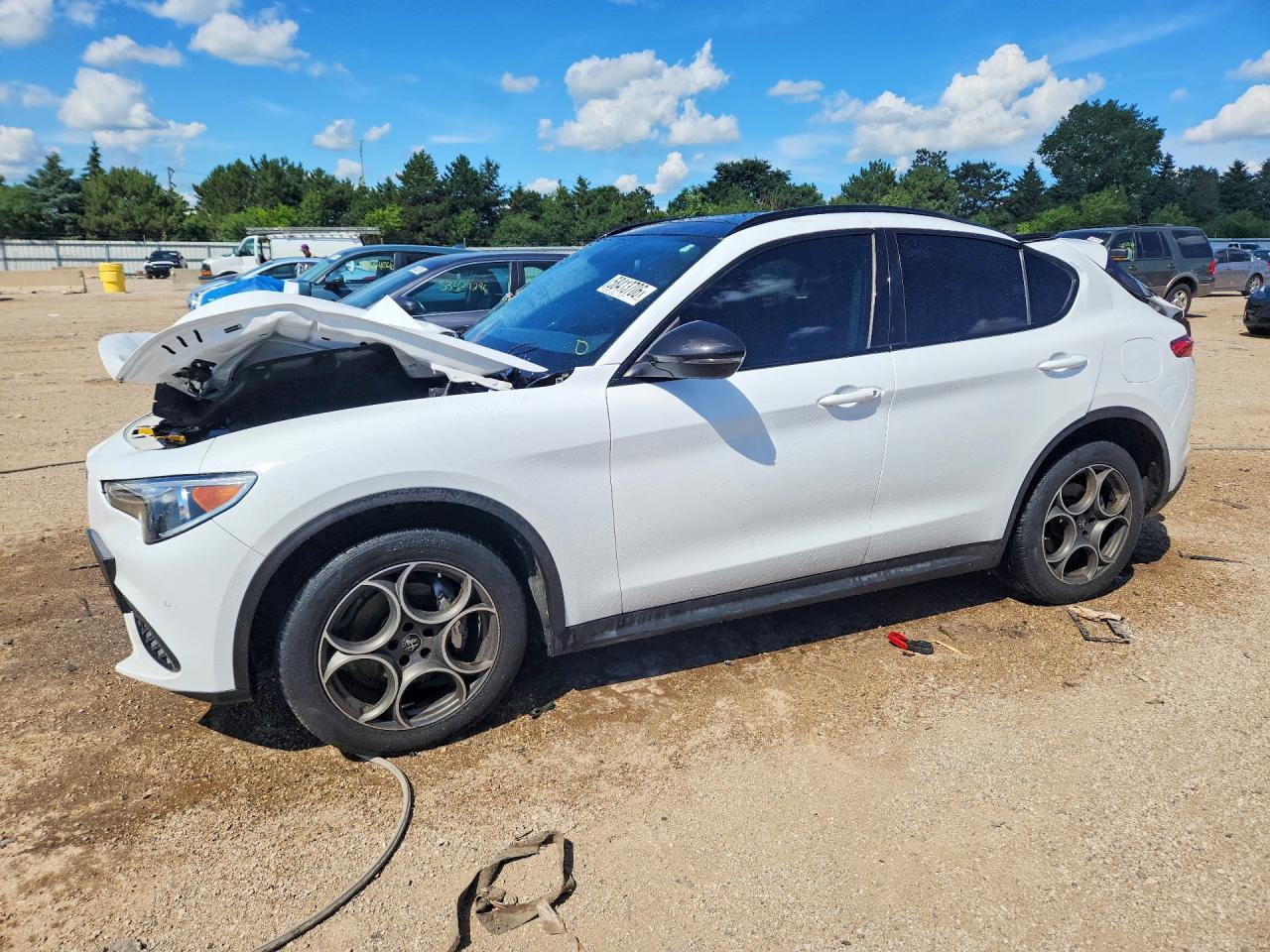 ZASPAKAN2M7D01892 · 2021 ALFA ROMEO STELVIO