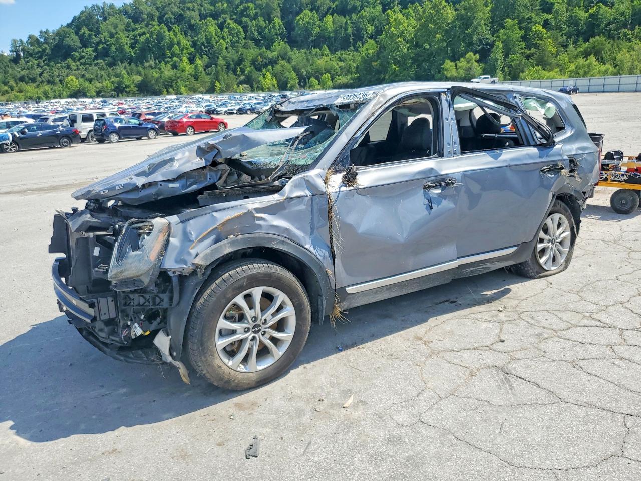 5XYP2DHC6NG244090 · 2022 KIA TELLURIDE