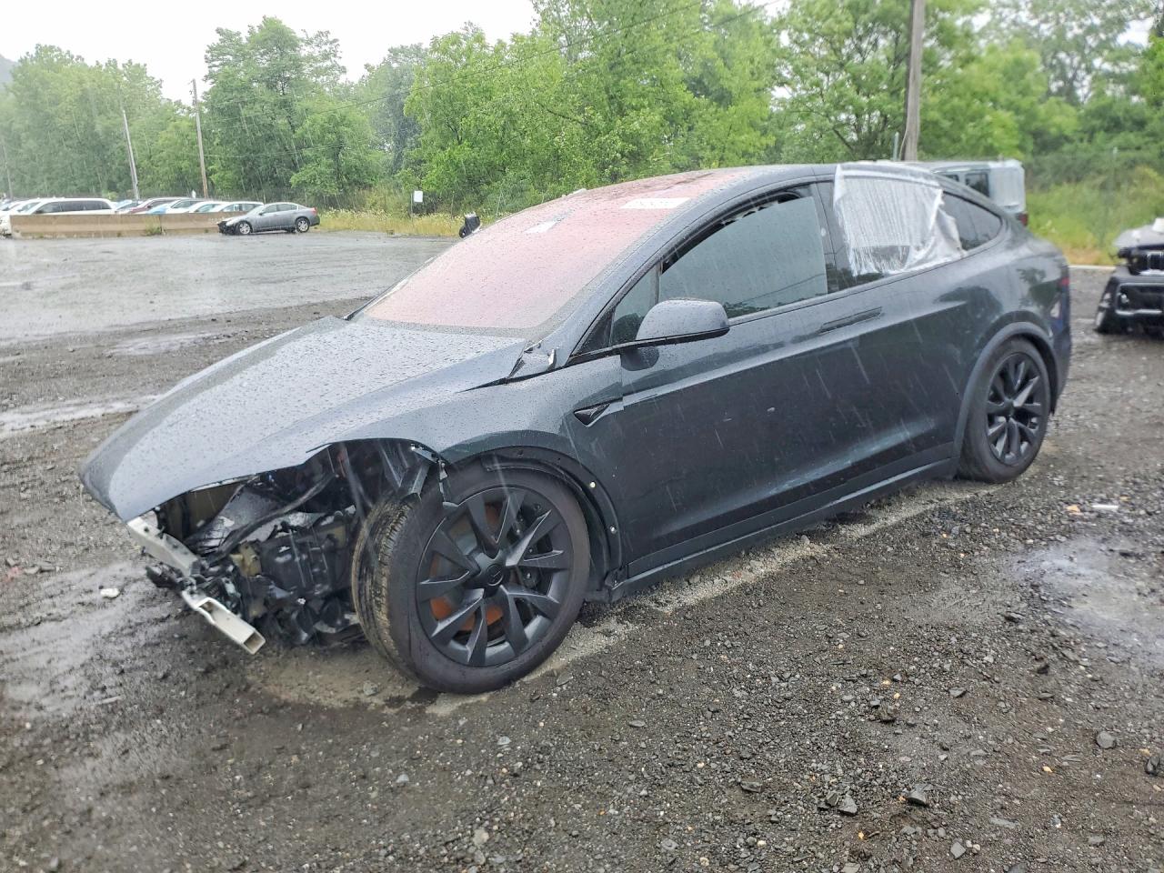 7SAXCDE54RF445506 · 2024 TESLA MODEL X