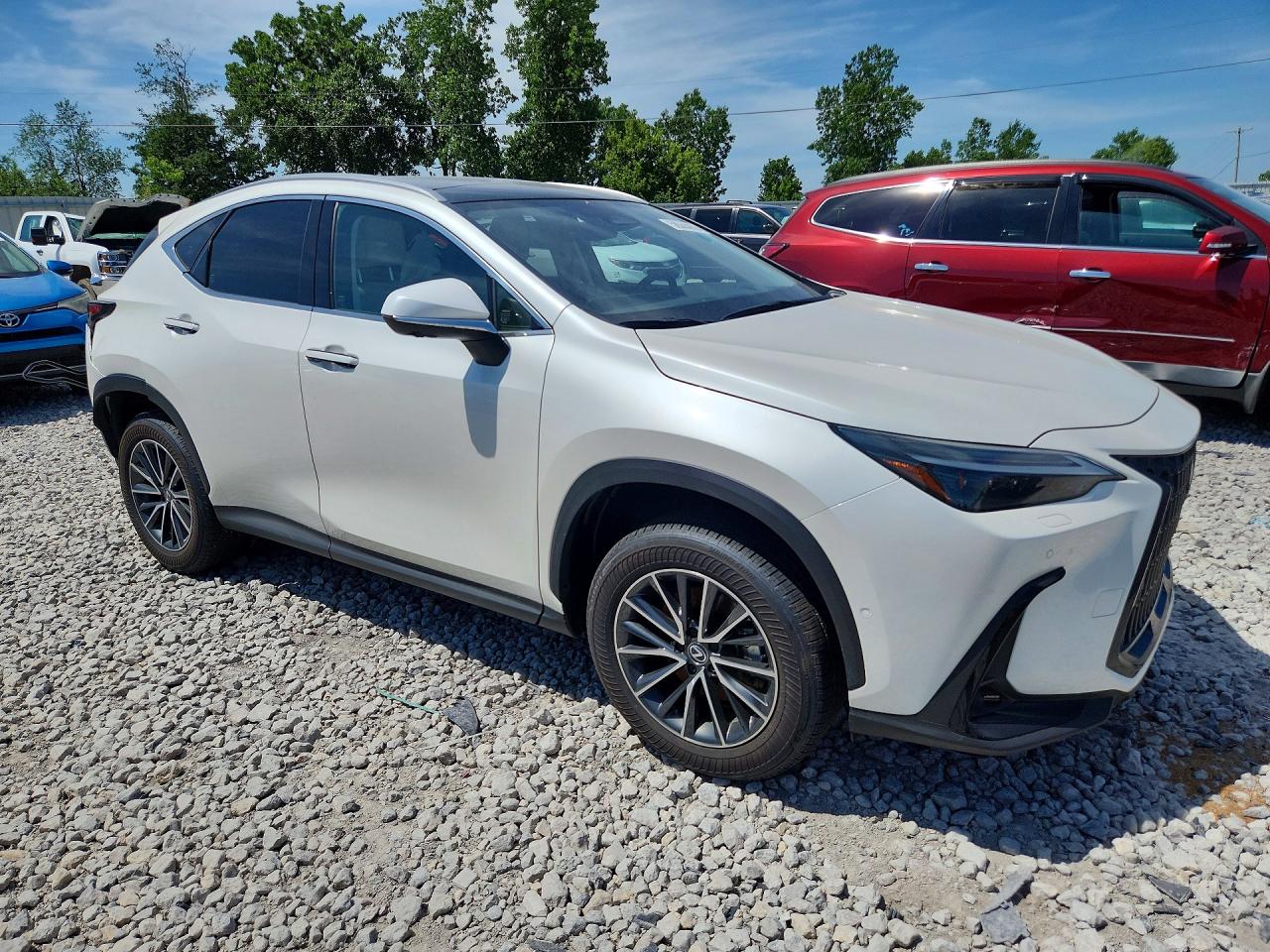 JTJHKCEZ4S2055433 · 2025 LEXUS NX 350H · 4/13
