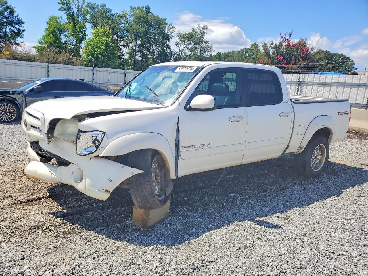 5TBET38124S441832 · 2004 TOYOTA TUNDRA