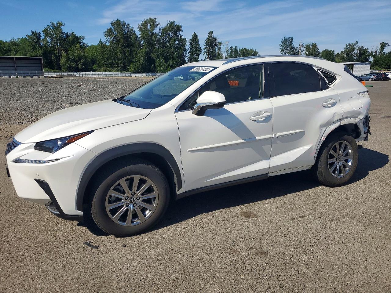 JTJBARBZ2K2209699 · 2019 LEXUS NX 300
