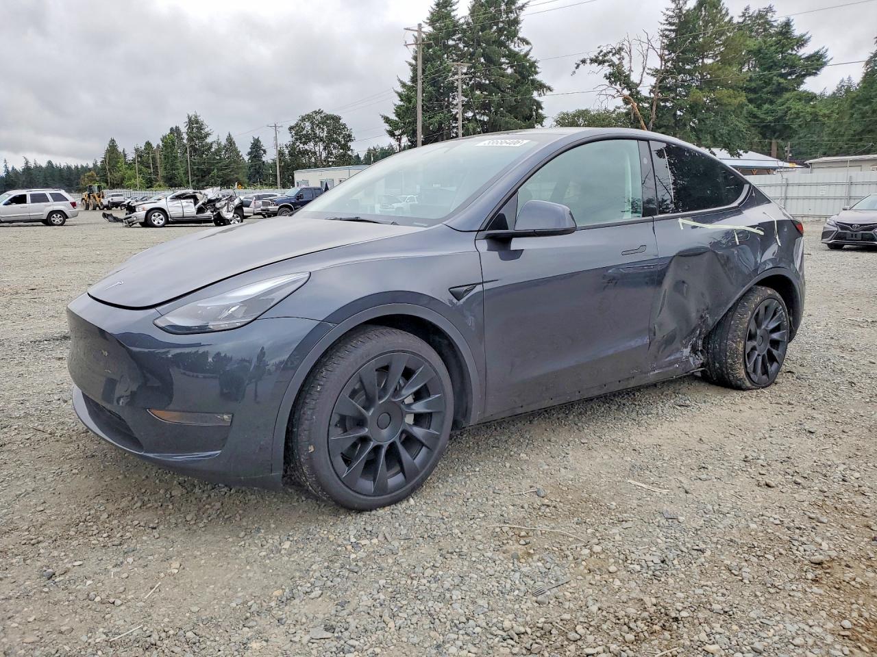 7SAYGDEE5SF286509 · 2025 TESLA MODEL Y
