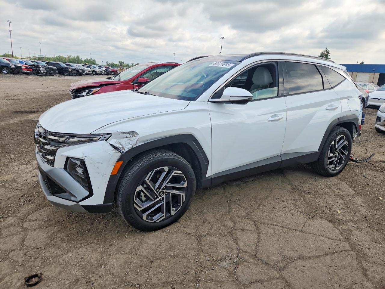 KM8JEDD18SU280242 · 2025 HYUNDAI TUCSON
