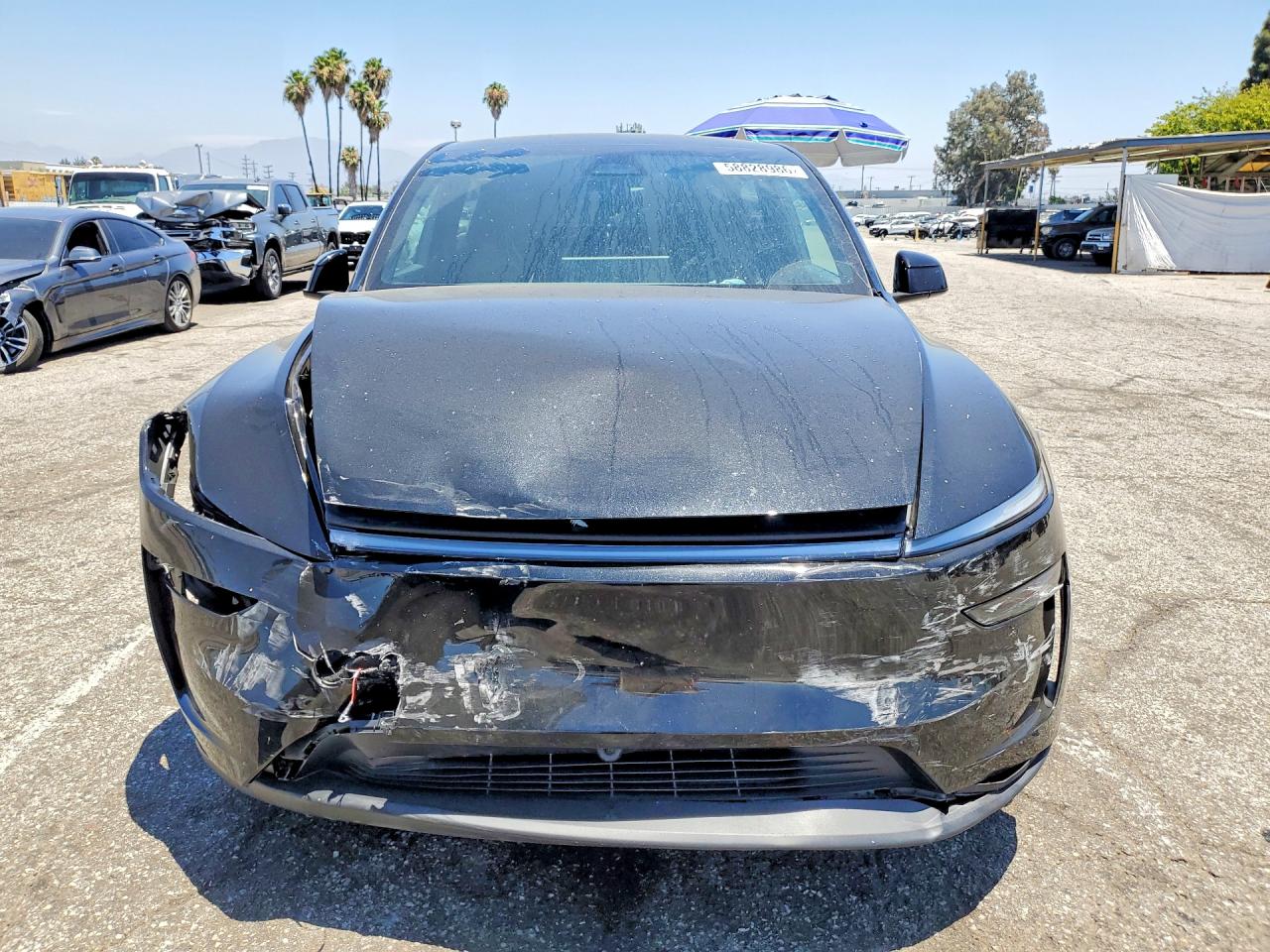 7SAYGDEDXTF589035 · 2026 TESLA MODEL Y · 5/12