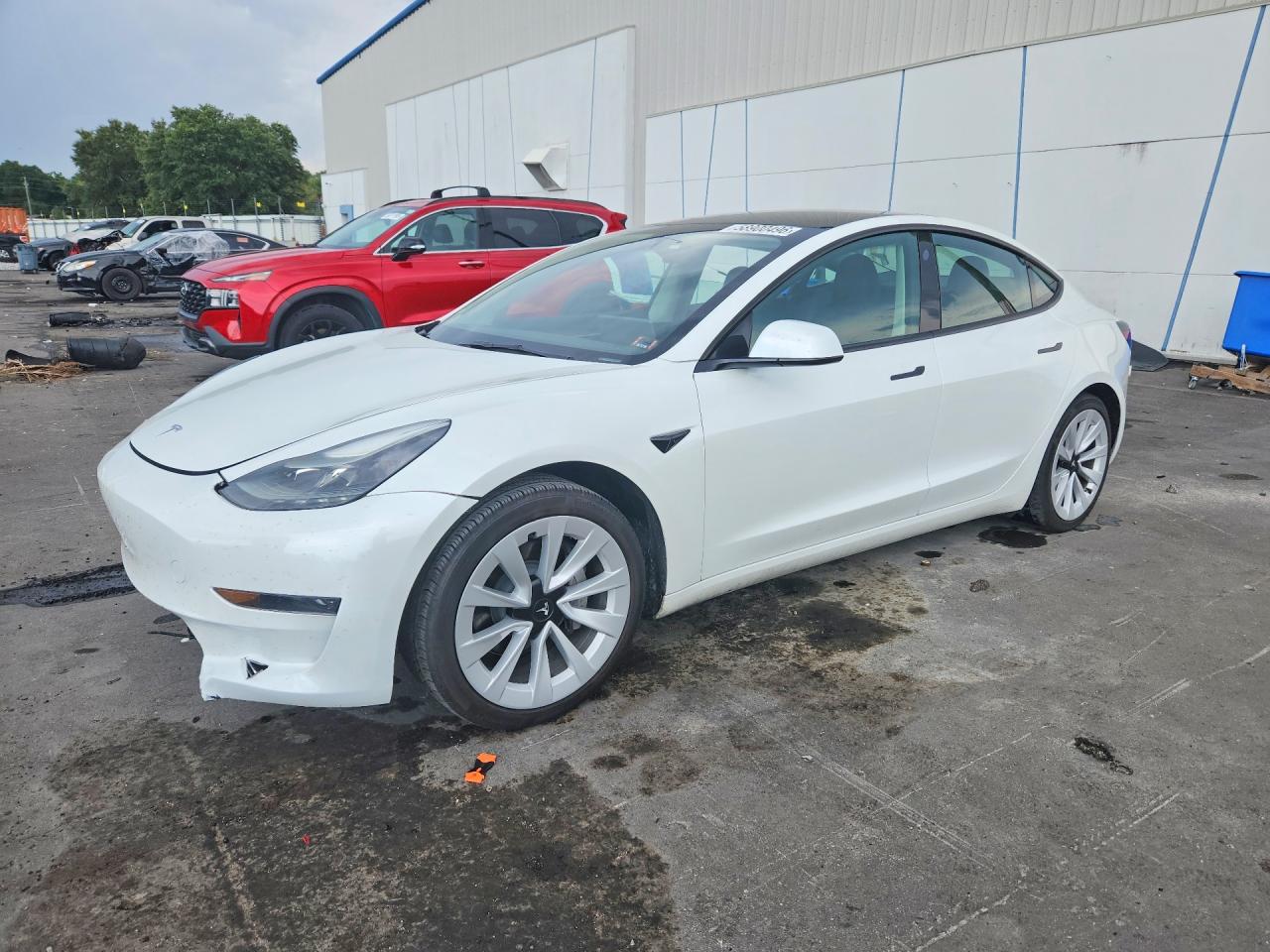 5YJ3E1EA5PF494955 · 2023 TESLA MODEL 3