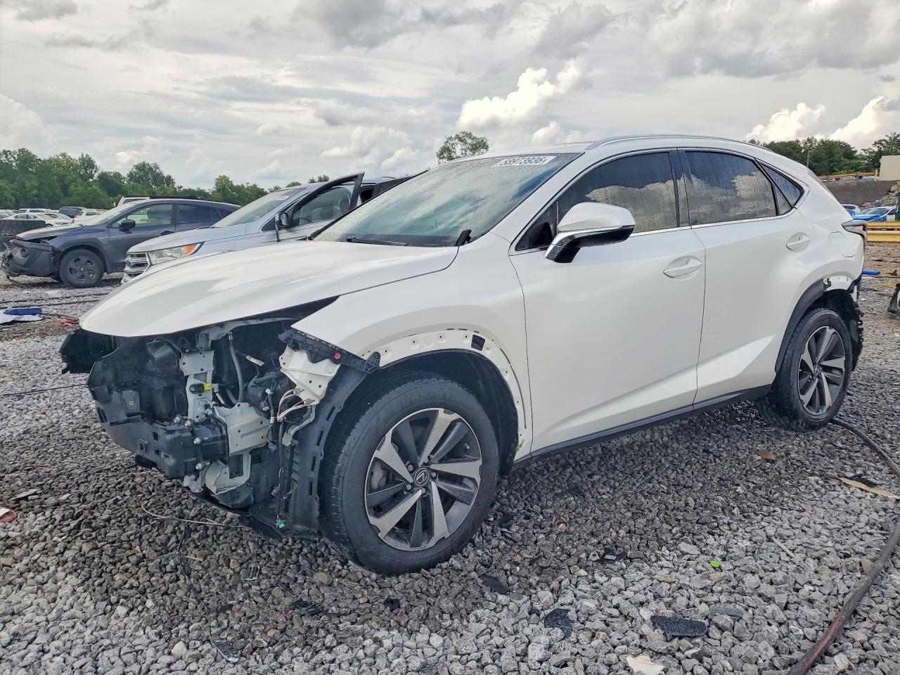 JTJBARBZ4K2211843 · 2019 LEXUS NX 300