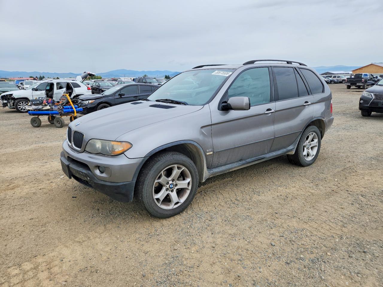 5UXFA13566LY42416 · 2006 BMW X5