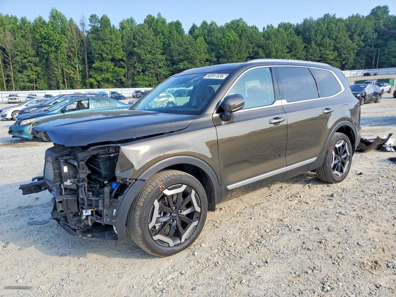 5XYP64GC6SG668905 · 2025 KIA TELLURIDE