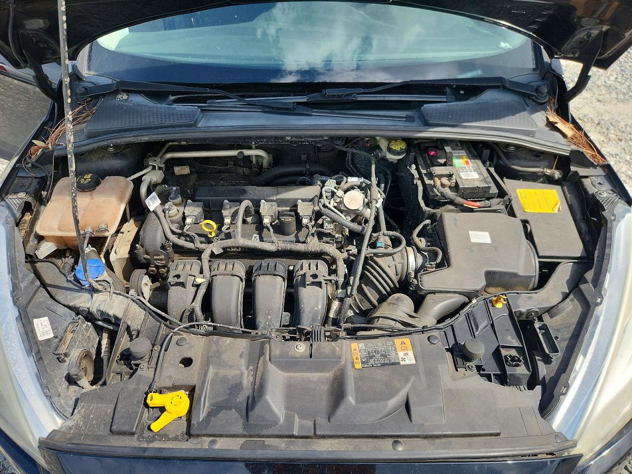 1FADP3K26GL375922 · 2016 FORD FOCUS · 11/12