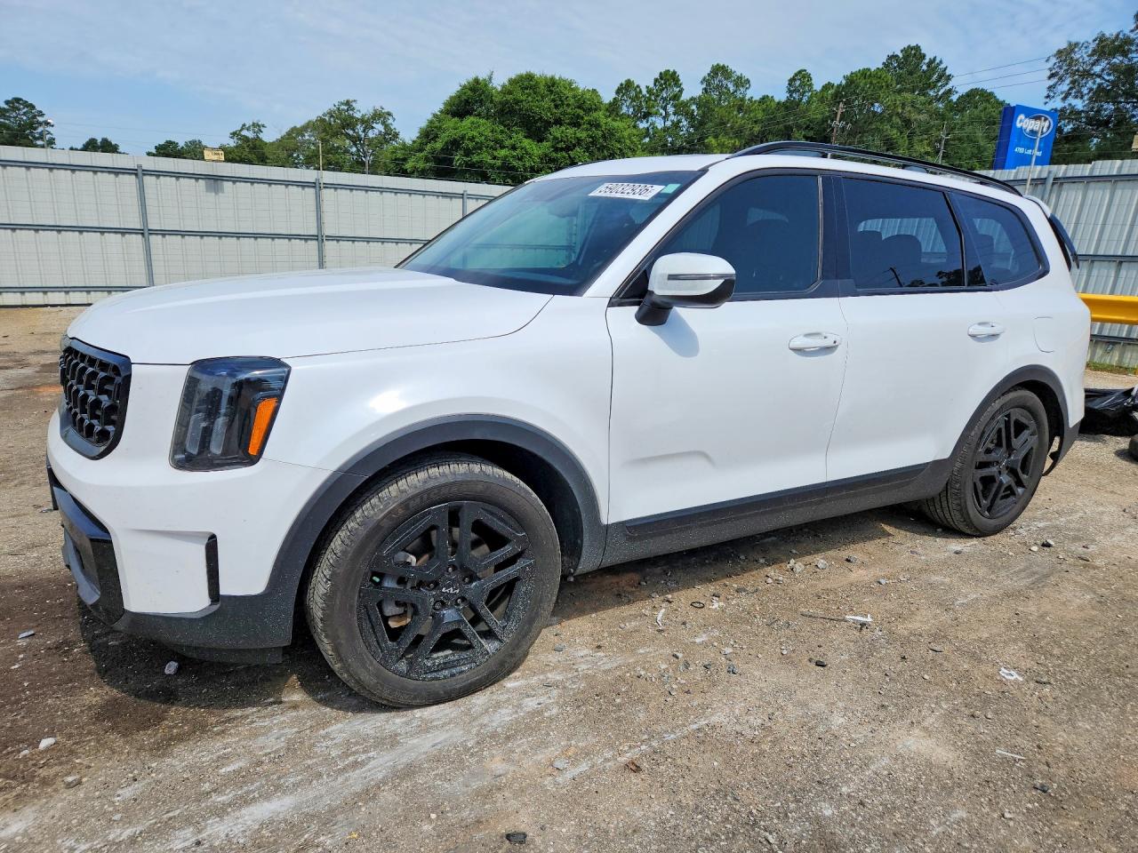 5XYP3DGCXRG548494 · 2024 KIA TELLURIDE