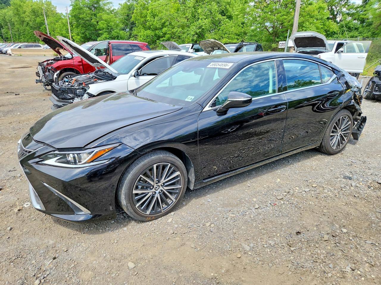 58ADZ1B18RU171141 · 2024 LEXUS ES 350