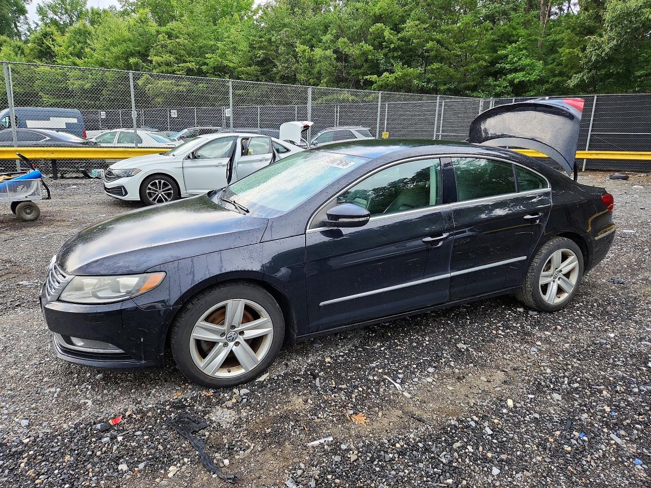 WVWBP7AN2EE503093 · 2014 VOLKSWAGEN CC