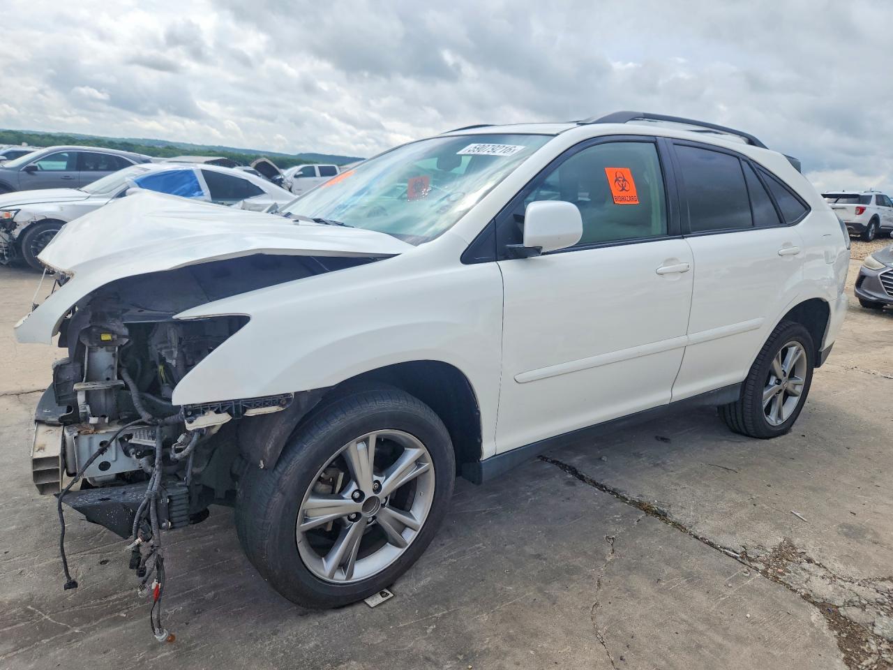 JTJGW31U462000125 · 2006 LEXUS RX