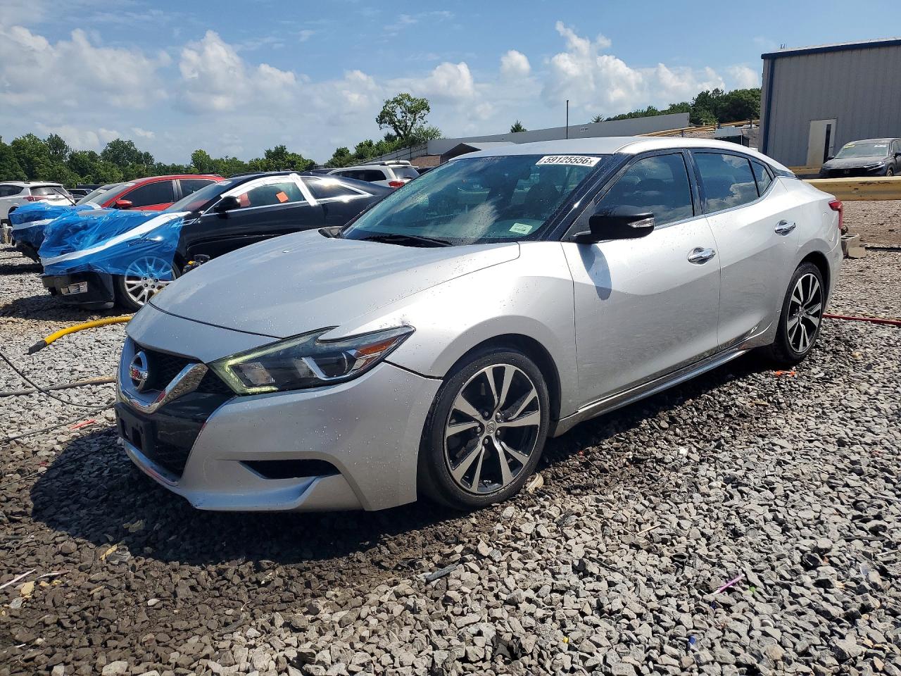 1N4AA6AP6HC366481 · 2017 NISSAN MAXIMA