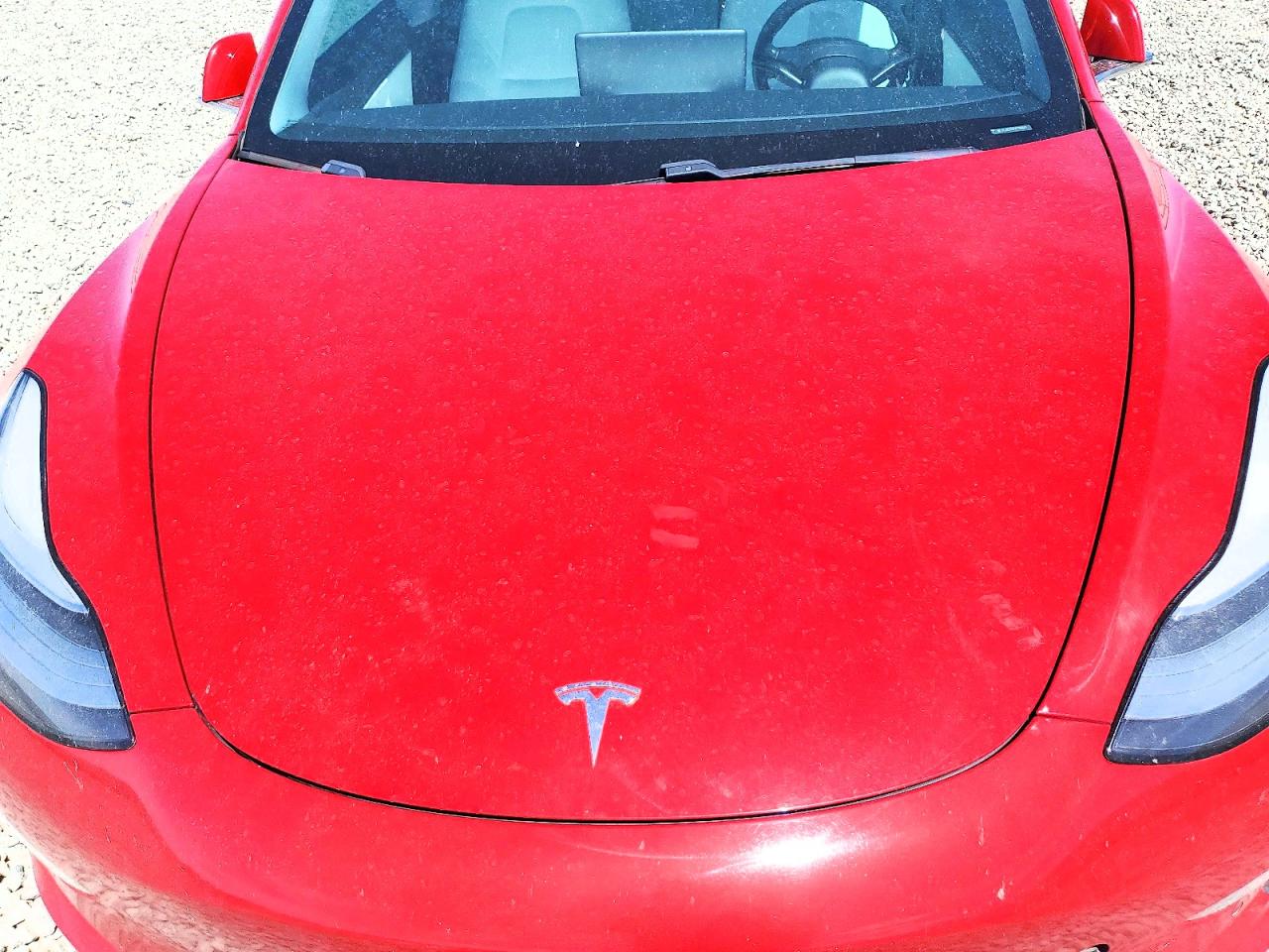 5YJ3E1EB7KF192648 · 2019 TESLA MODEL 3 · 11/11