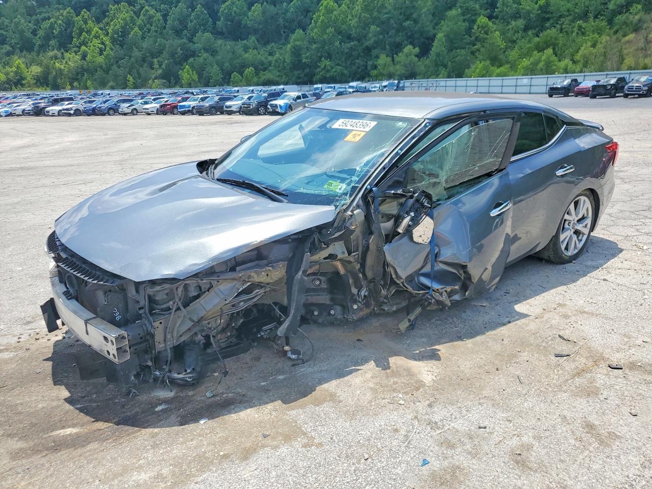 1N4AA6AP9HC381234 · 2017 NISSAN MAXIMA