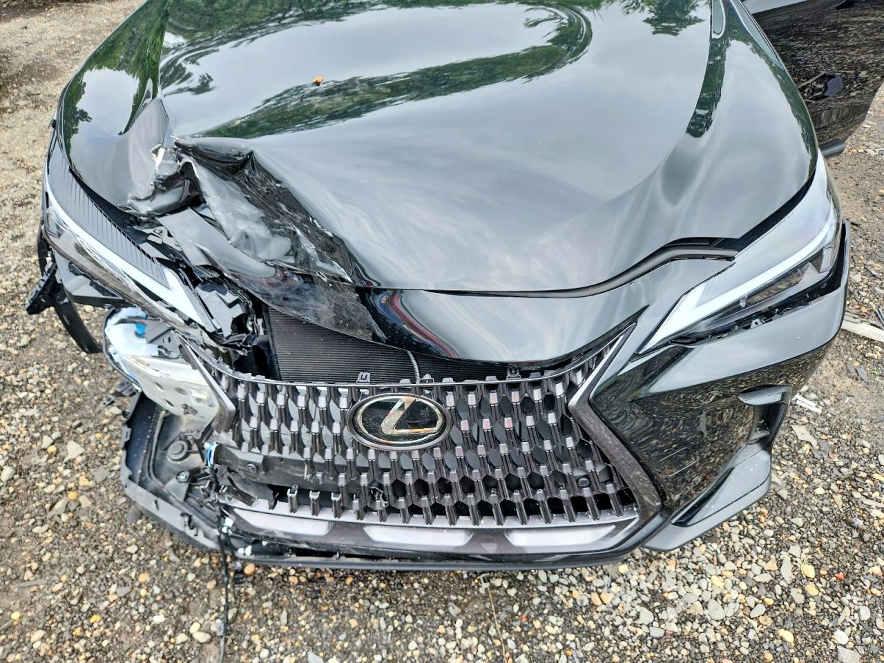 2T2GGCEZ3TC107570 · 2026 LEXUS NX · 12/13