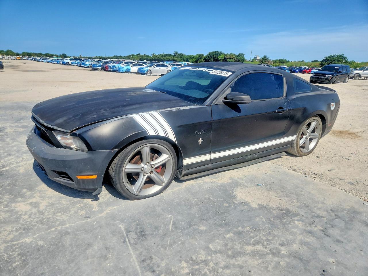 1ZVBP8AN3A5143636 · 2010 FORD MUSTANG
