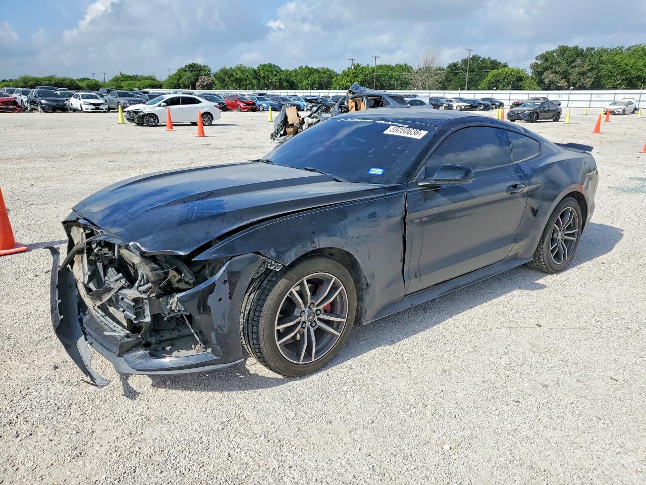 1FA6P8TH3H5291300 · 2017 FORD MUSTANG