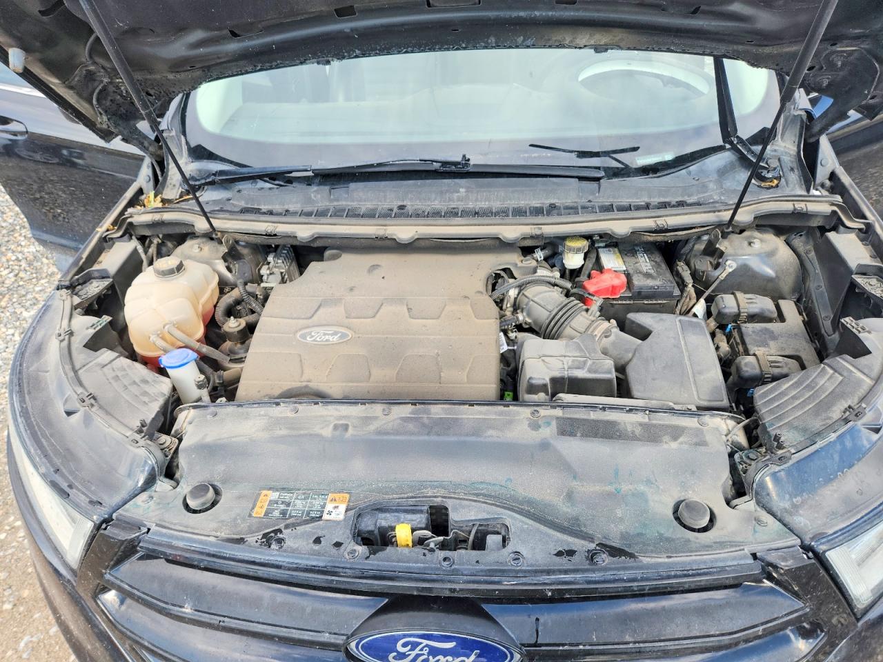 2FMTK4J88FBB82519 · 2015 FORD EDGE · 12/13