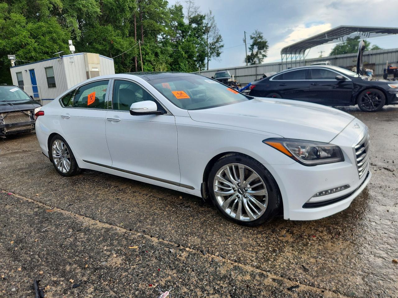 KMHGN4JF0HU204923 · 2017 GENESIS G80 · 4/12
