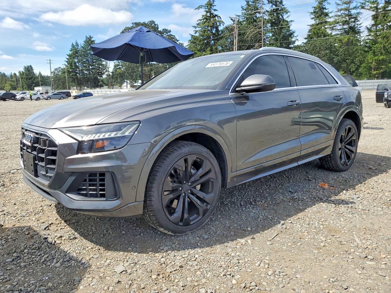 WA1CVAF16KD012146 · 2019 AUDI Q8