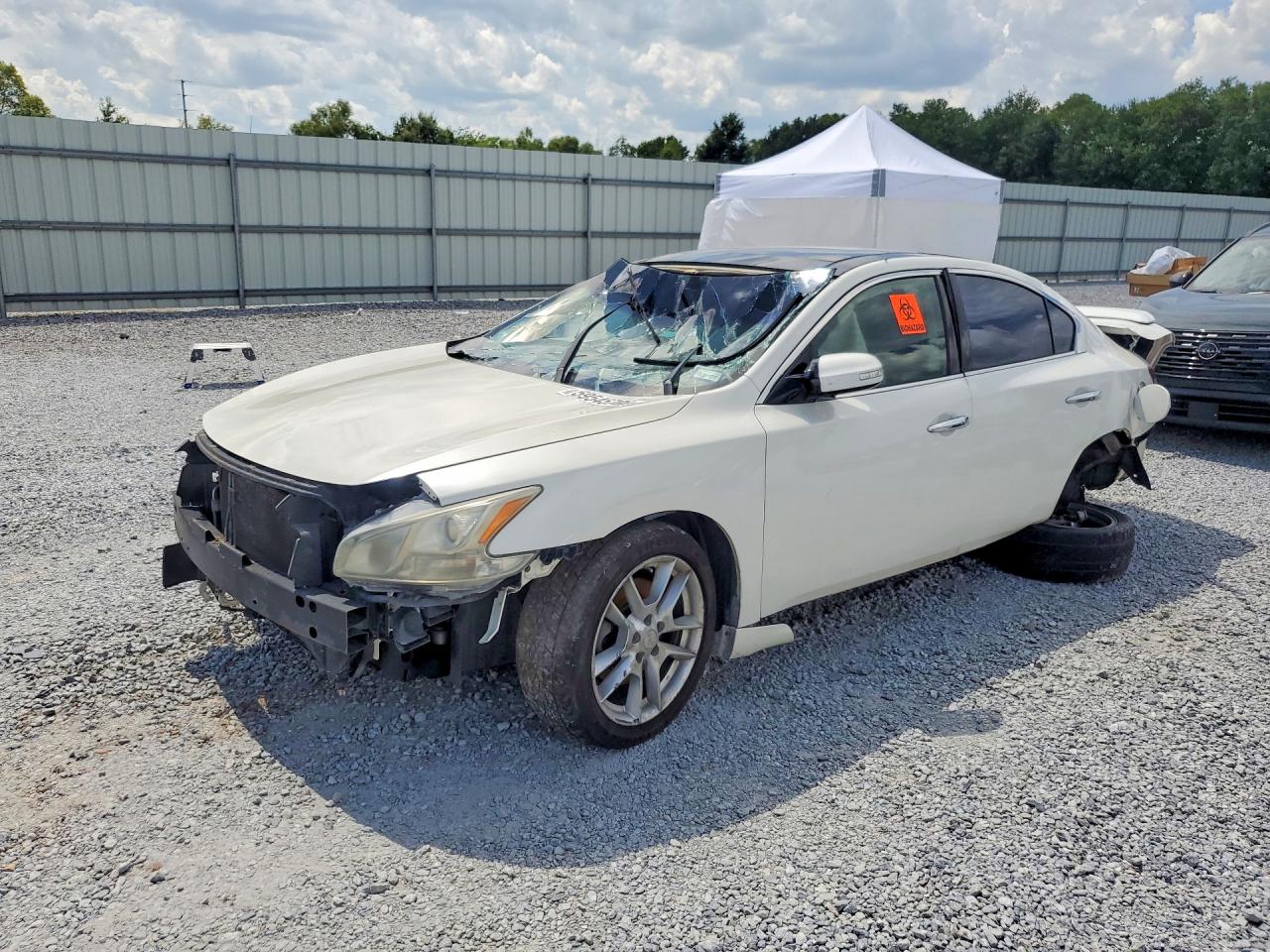 1N4AA5AP4AC828889 · 2010 NISSAN MAXIMA