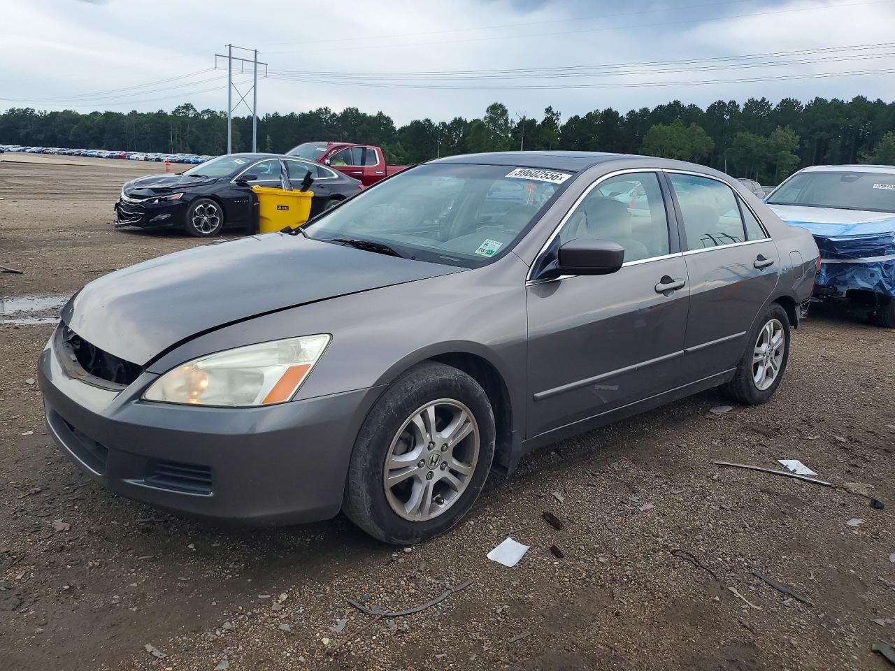 1HGCM56886A177279 · 2006 HONDA ACCORD