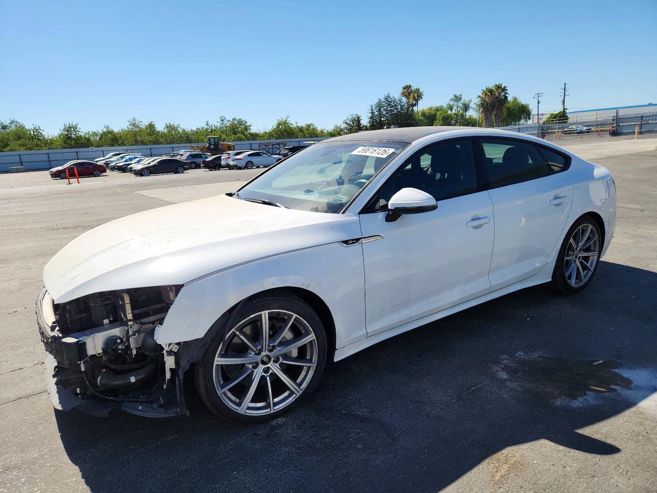 WAUDACF56SA005667 · 2025 AUDI A5