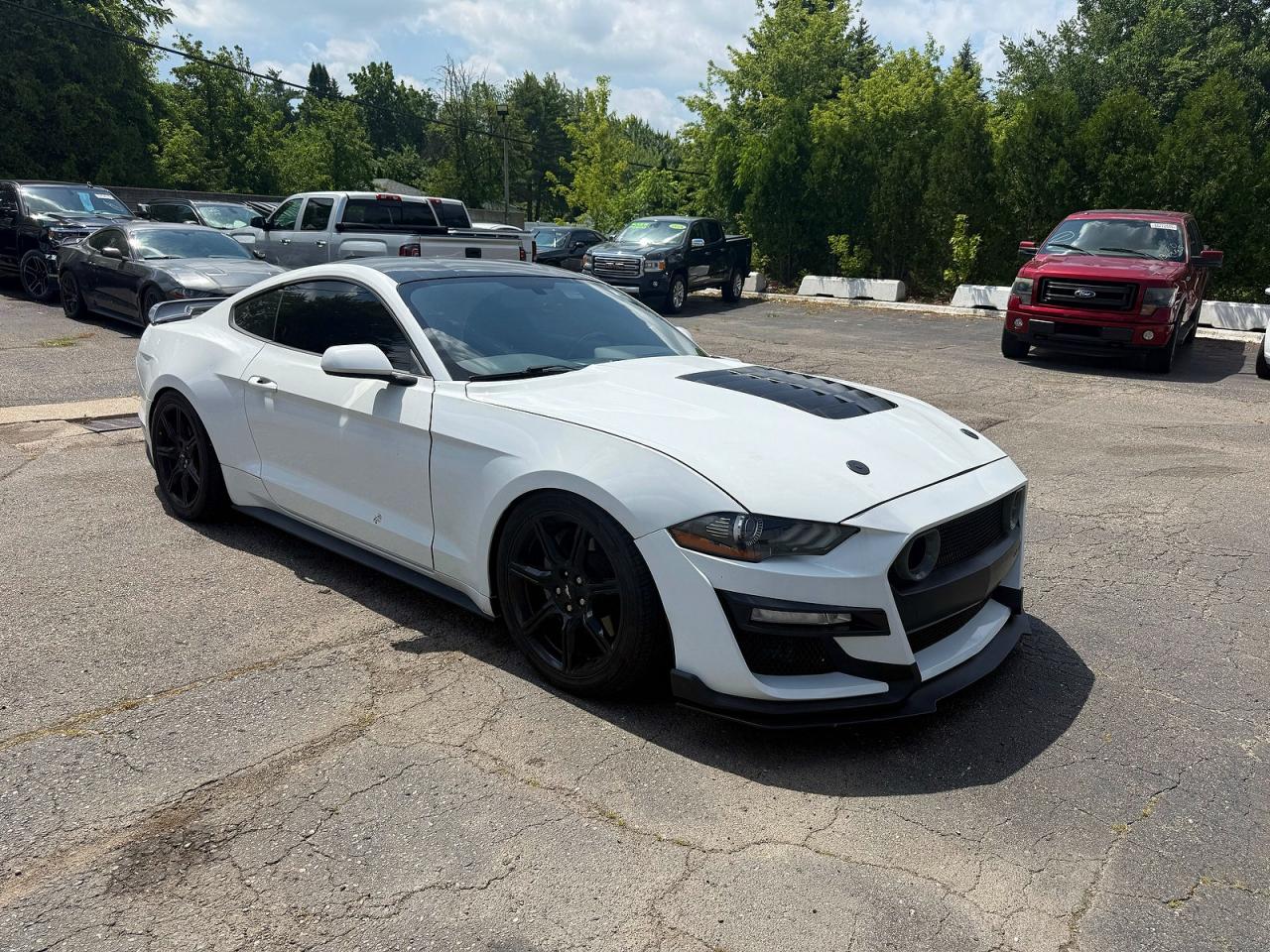 1FA6P8CF4K5146692 · 2019 FORD MUSTANG