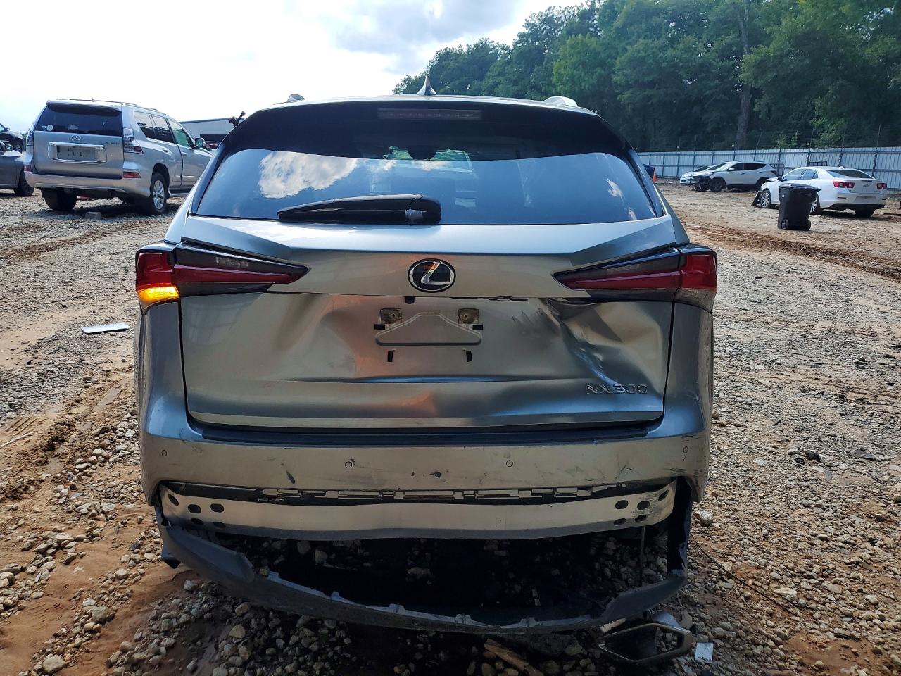 JTJDARBZ9L5018791 · 2020 LEXUS NX · 6/12