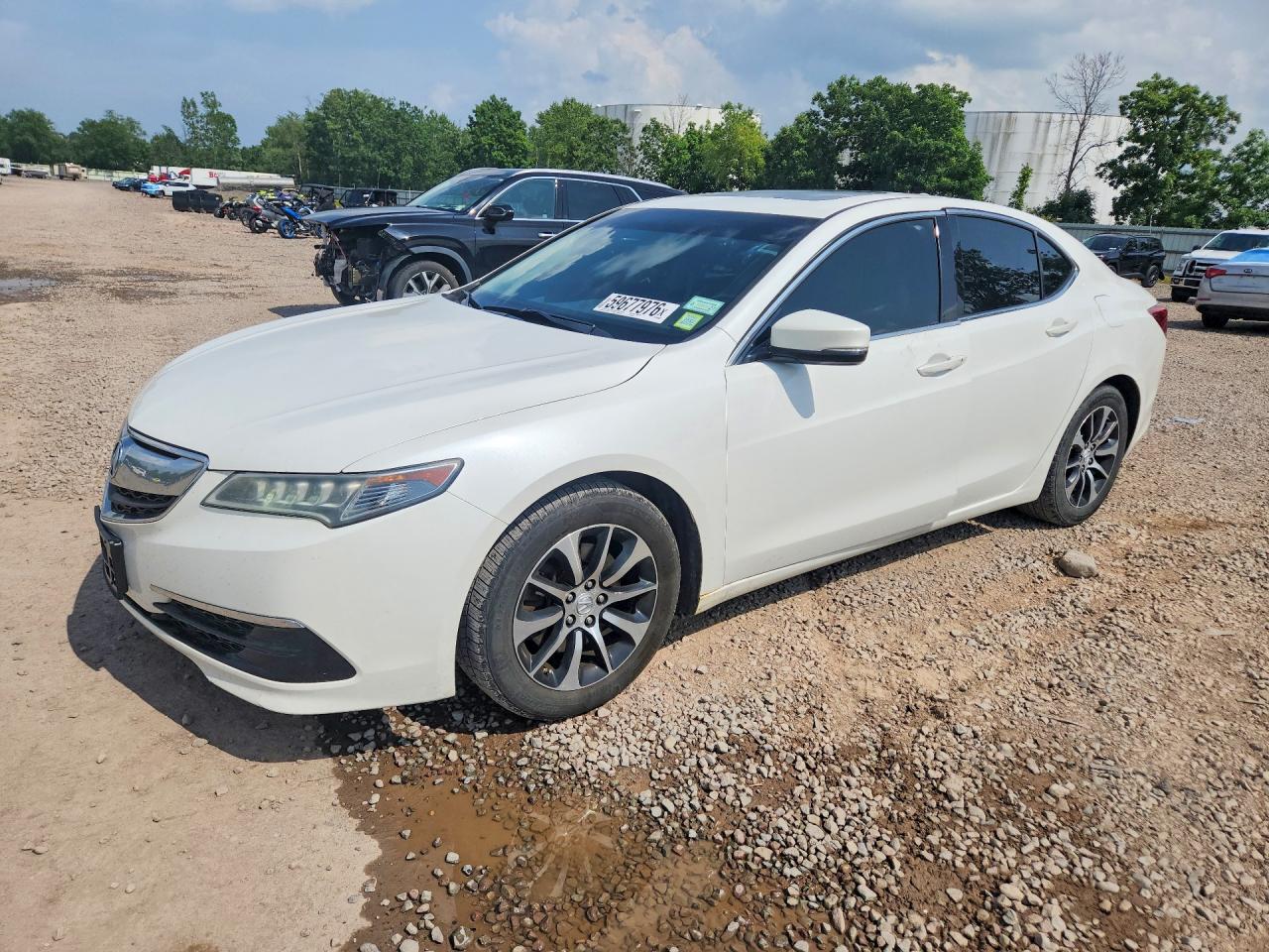19UUB1F3XFA027469 · 2015 ACURA TLX
