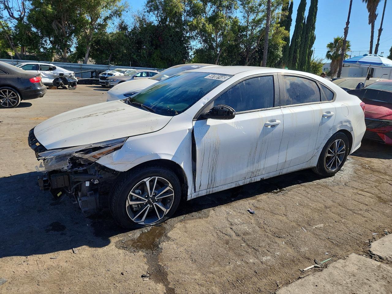 3KPF24AD7RE708439 · 2024 KIA FORTE