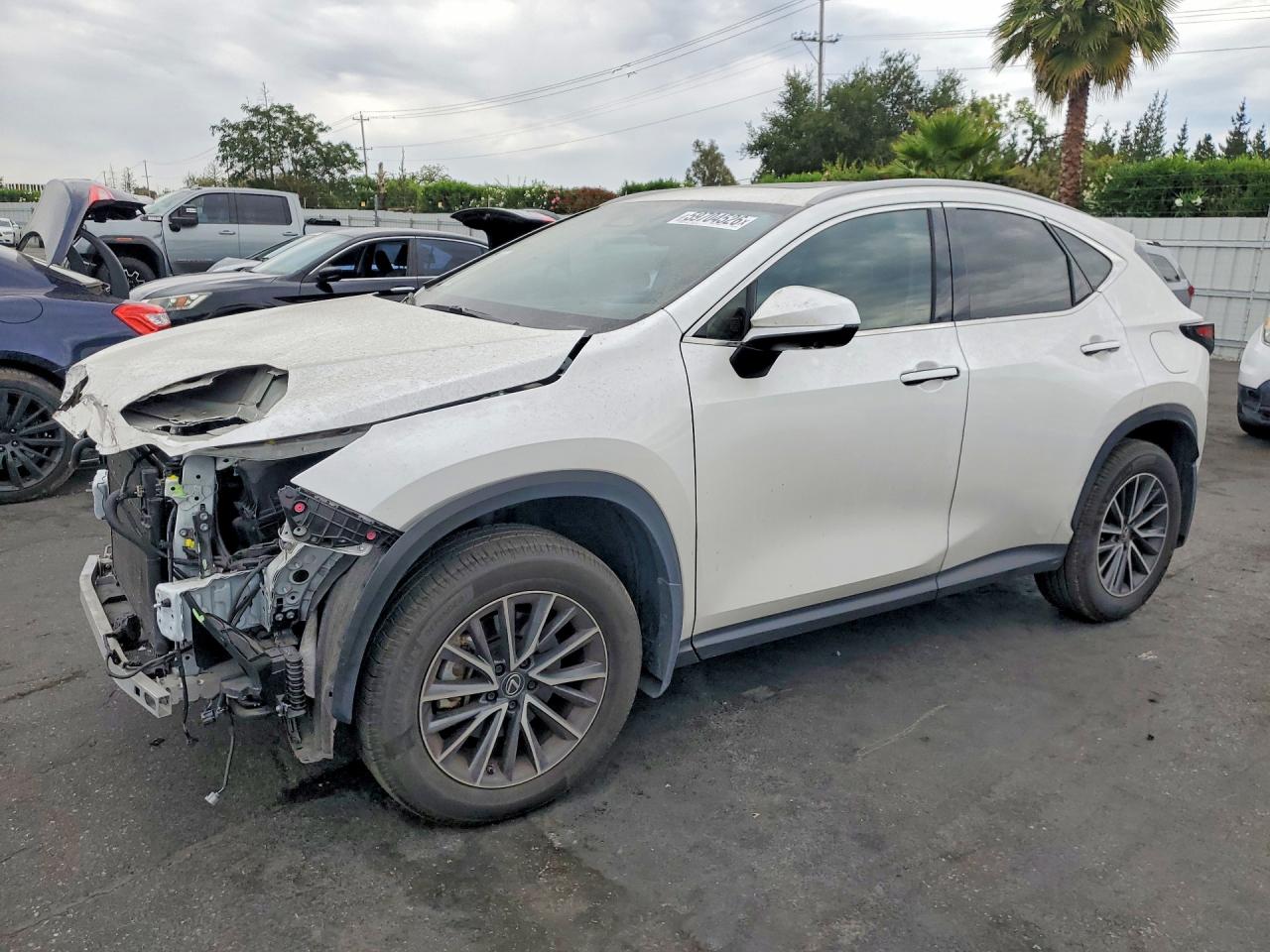 JTJGKCEZ5R5011896 · 2024 LEXUS NX 350H