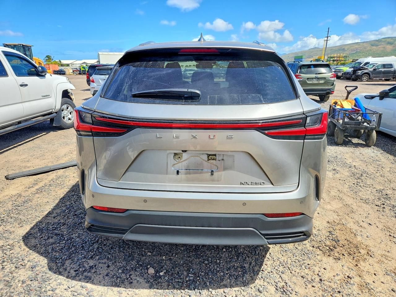 JTJGDCAZ1P5011360 · 2023 LEXUS NX · 6/14