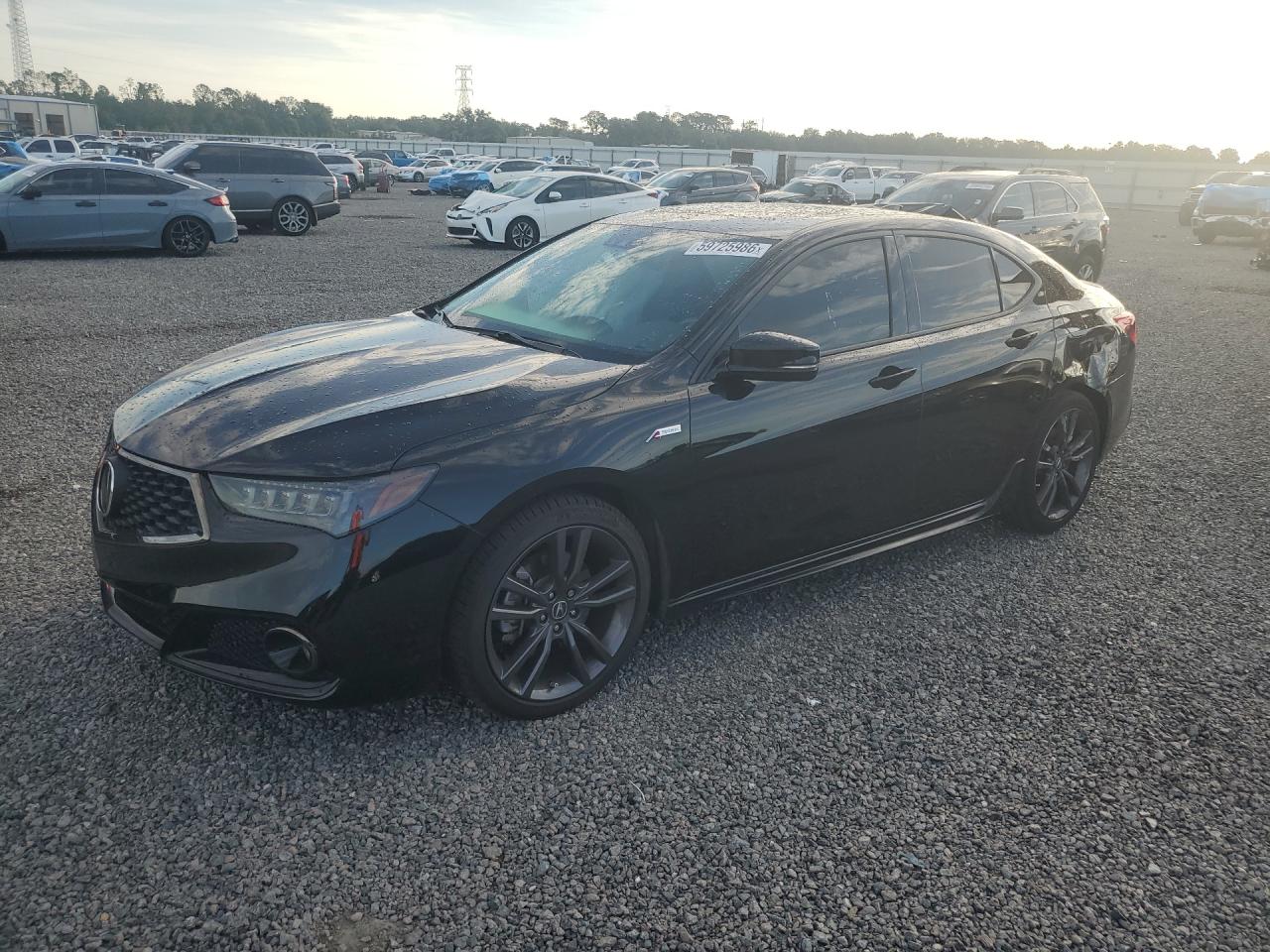 19UUB2F62KA007209 · 2019 ACURA TLX