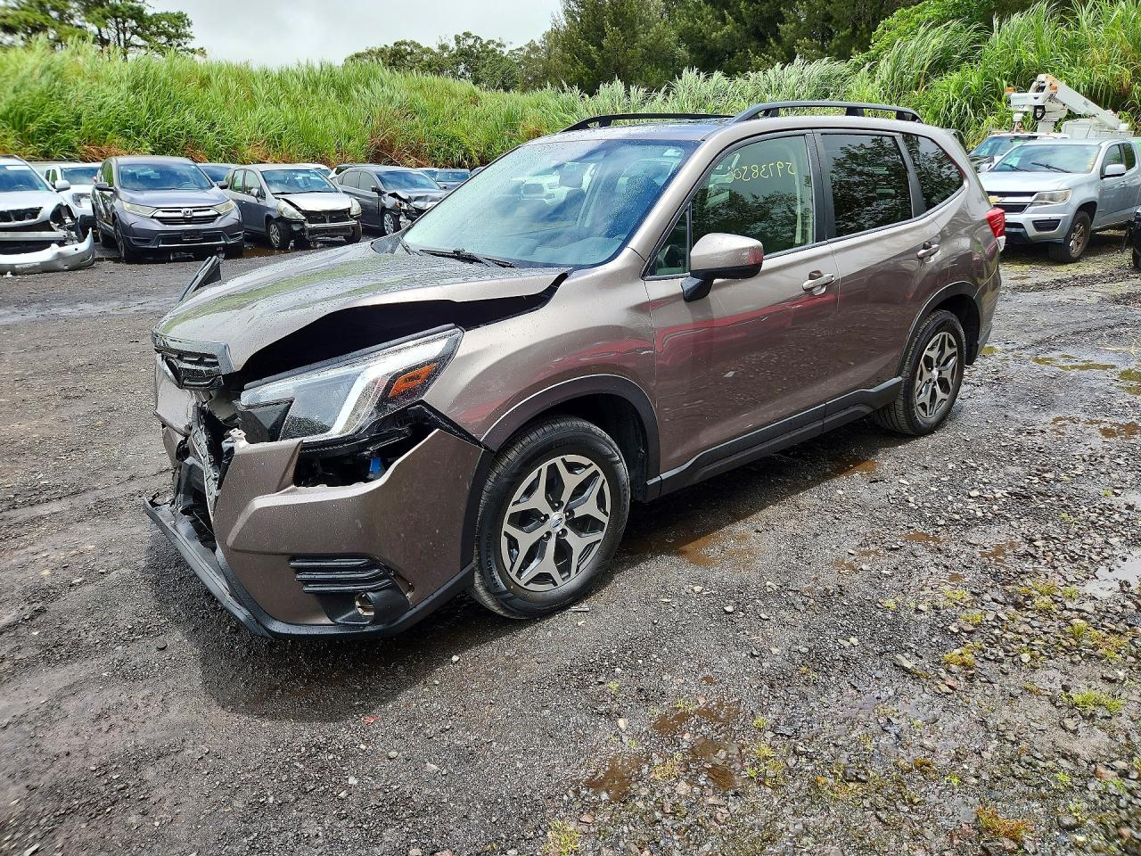 JF2SKAEC7NH506916 · 2022 SUBARU FORESTER