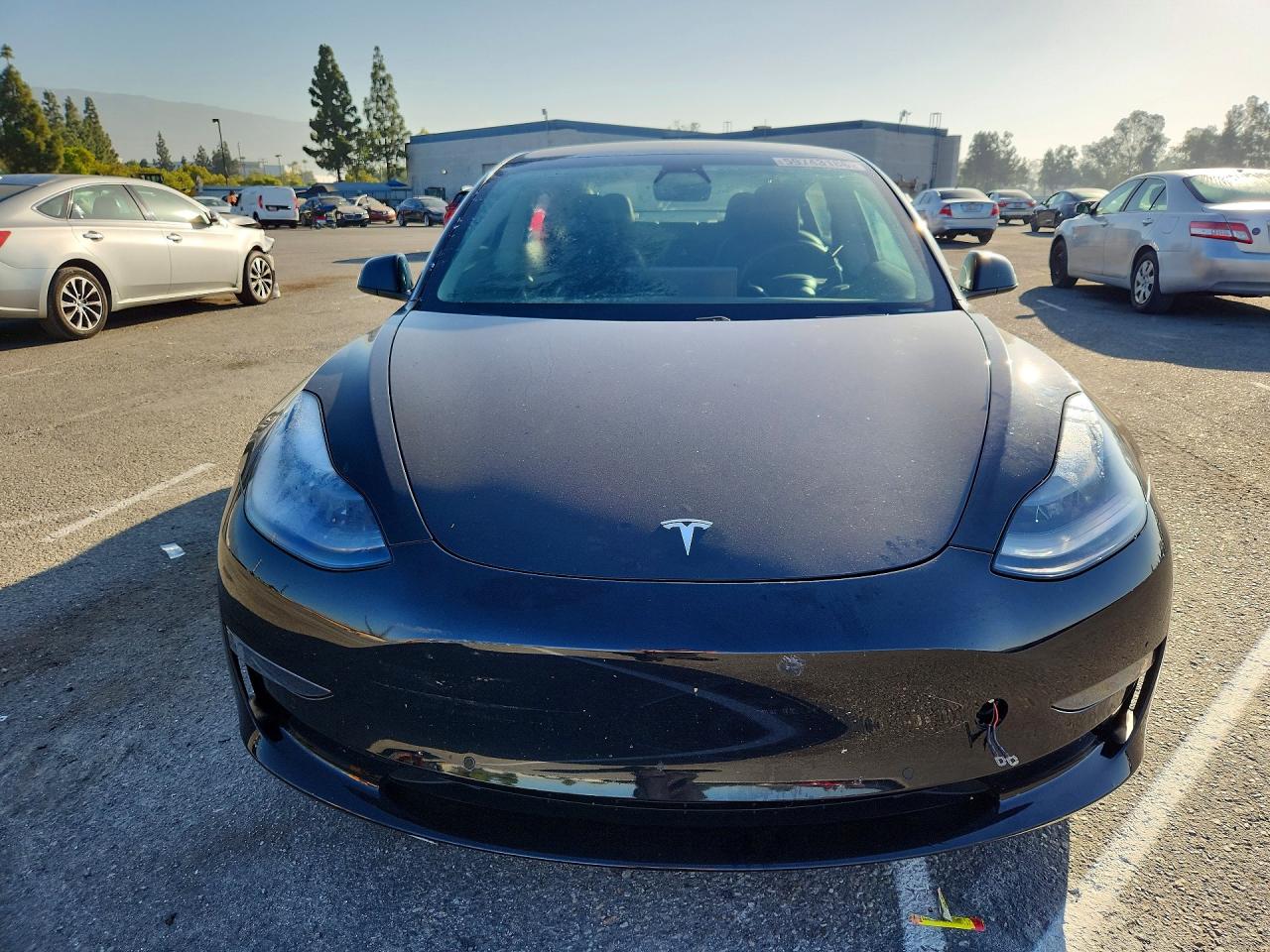 5YJ3E1EA0MF876449 · 2021 TESLA MODEL 3 · 5/13