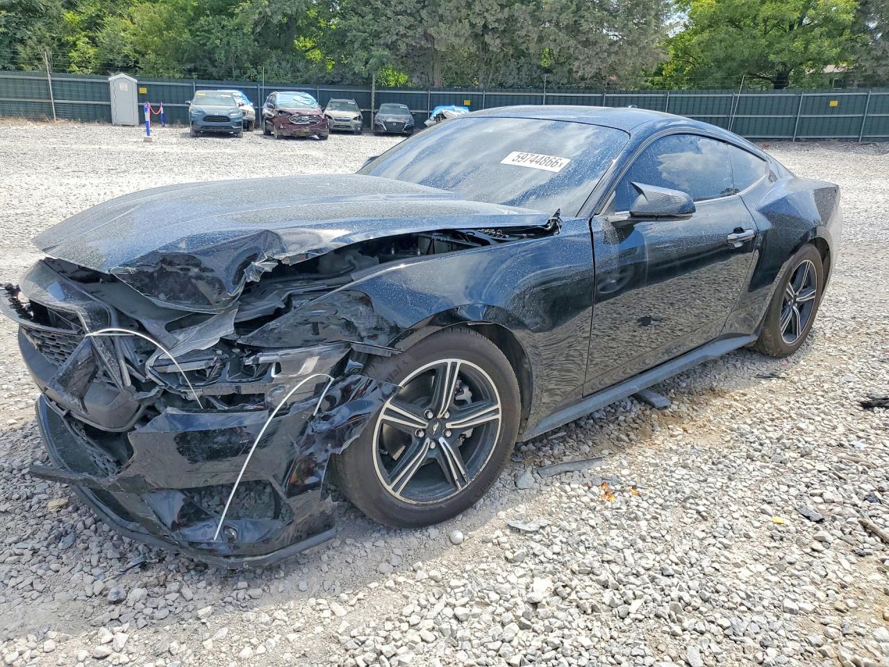1FA6P8TH7S5103286 · 2025 FORD MUSTANG